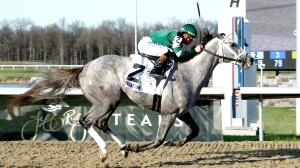 Fulleffort is Enough to Win Turfway Park's Jeff Ruby Steaks